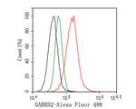 GABRB2 Antibody in Flow Cytometry (Flow)