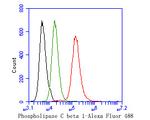 PLCB1 Antibody in Flow Cytometry (Flow)