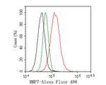 MMP7 Antibody in Flow Cytometry (Flow)