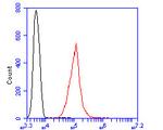 H3K4me1 Antibody in Flow Cytometry (Flow)