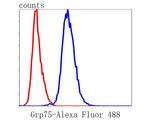 HSPA9 Antibody in Flow Cytometry (Flow)