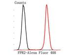 FPR2 Antibody in Flow Cytometry (Flow)