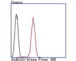 ALDH1A1 Antibody in Flow Cytometry (Flow)