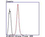 ALDH1A1 Antibody in Flow Cytometry (Flow)