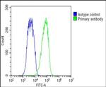 BAP1 Antibody in Flow Cytometry (Flow)