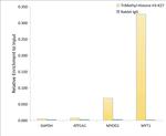 H3K27me3 Antibody in ChIP Assay (ChIP)