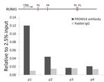 PRDM14 Antibody in ChIP Assay (ChIP)