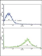 Sigma-1 Receptor Antibody in Flow Cytometry (Flow)