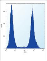 RUNX1 Antibody in Flow Cytometry (Flow)