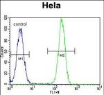 NPM1 Antibody in Flow Cytometry (Flow)