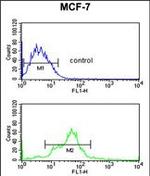 EBP1 Antibody in Flow Cytometry (Flow)