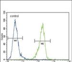 ENPP2 Antibody in Flow Cytometry (Flow)
