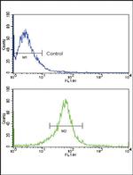 MMP14 Antibody in Flow Cytometry (Flow)