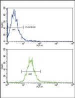 NRG1 Antibody in Flow Cytometry (Flow)