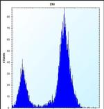 DDIT4 Antibody in Flow Cytometry (Flow)