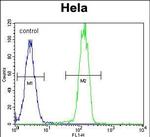 PARP1 Antibody in Flow Cytometry (Flow)