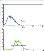 Glucagon Antibody in Flow Cytometry (Flow)