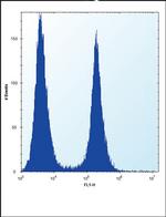 ENO1 Antibody in Flow Cytometry (Flow)