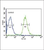 Albumin Antibody in Flow Cytometry (Flow)