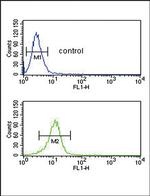 CD154 (CD40 Ligand) Antibody in Flow Cytometry (Flow)