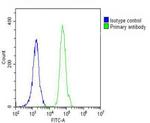 Caspase 8 Antibody in Flow Cytometry (Flow)