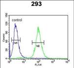 SERPINB3 Antibody in Flow Cytometry (Flow)