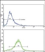 COL6A1 Antibody in Flow Cytometry (Flow)
