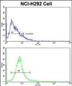 EEF1A1 Antibody in Flow Cytometry (Flow)