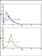 MRP1 Antibody in Flow Cytometry (Flow)