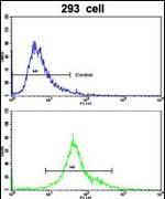 EMILIN1 Antibody in Flow Cytometry (Flow)