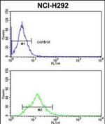 TAGLN Antibody in Flow Cytometry (Flow)