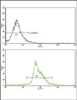 PAX4 Antibody in Flow Cytometry (Flow)