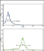 MCP-1 Antibody in Flow Cytometry (Flow)