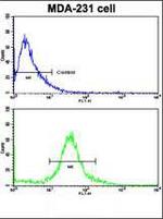 TIMP1 Antibody in Flow Cytometry (Flow)