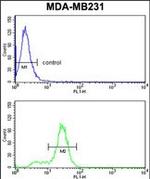 Cytokeratin 14 Antibody in Flow Cytometry (Flow)