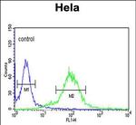 MAML3 Antibody in Flow Cytometry (Flow)