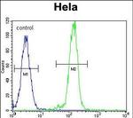 AKT2 Antibody in Flow Cytometry (Flow)