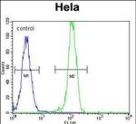 AKT2 Antibody in Flow Cytometry (Flow)