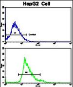 Creatine Kinase MB Antibody in Flow Cytometry (Flow)