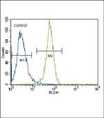 PGK1 Antibody in Flow Cytometry (Flow)