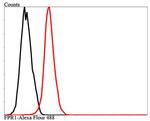 FPR1 Antibody in Flow Cytometry (Flow)