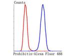 Prohibitin Antibody in Flow Cytometry (Flow)