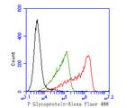 P-Glycoprotein Antibody in Flow Cytometry (Flow)