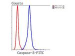 Caspase 3 Antibody in Flow Cytometry (Flow)