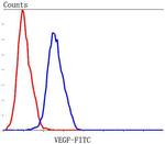 VEGF Antibody in Flow Cytometry (Flow)