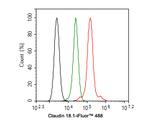 Claudin 18 Antibody in Flow Cytometry (Flow)