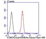 p16INK4a Antibody in Flow Cytometry (Flow)