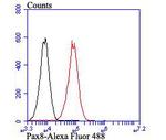 PAX8 Antibody in Flow Cytometry (Flow)