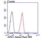 APE1 Antibody in Flow Cytometry (Flow)