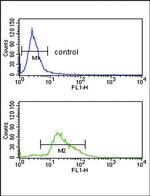 Plasminogen Antibody in Flow Cytometry (Flow)